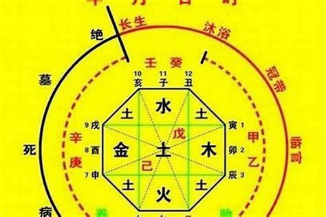 五行八字命盤|生辰八字算命、五行喜用神查詢（免費測算）